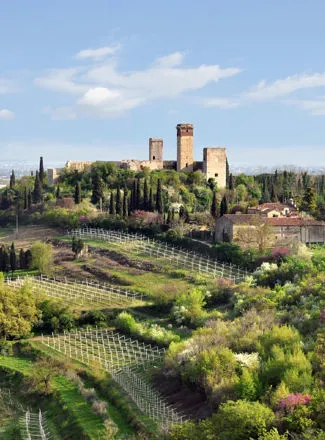 Vista del Castello di Montorio dall'alto